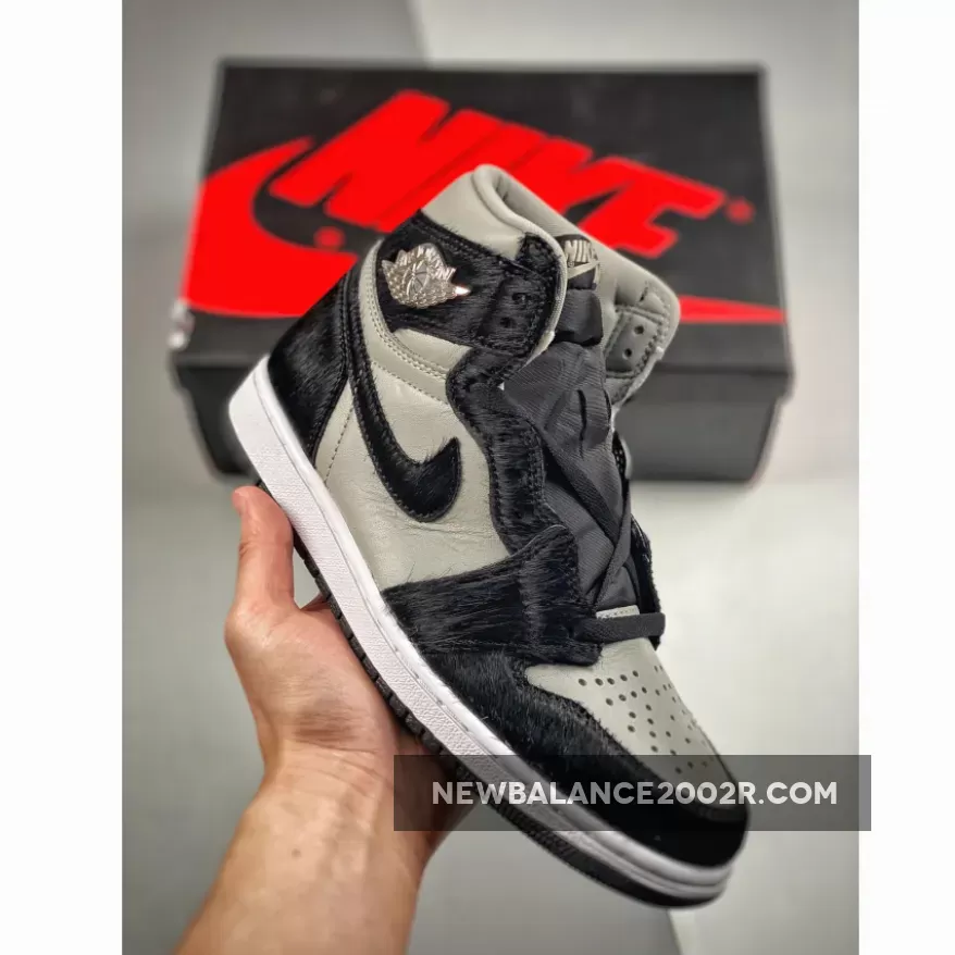 Air Jordan 1 Retro High OG Twist 2.0